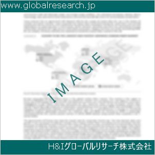 グローバルリサーチ調査資料のイメージ